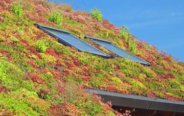 Arboe living roof systems