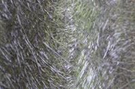 Arboe fibreglass roof work